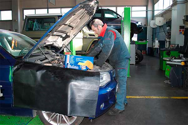 servicios 